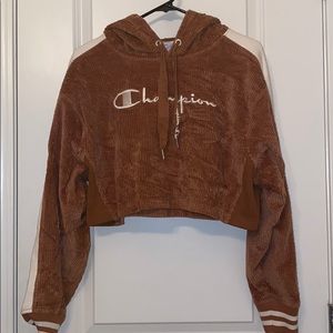 Cropped Champion Hoodie, worn once
